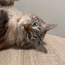 Фото профиля Bri