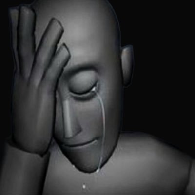 meat computer's profile picture