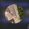 that guy 的头像