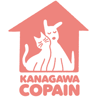 神奈川コパン〜動物保護団体@横浜市's profile picture