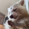 Jab's profile picture