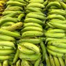 Profilbild von Platano