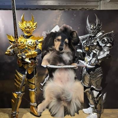PLAU90446365's profile picture