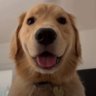 Barryzinhofk's profile picture