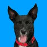 Profilbild von Shadow เป็นหมาฮ่ะ