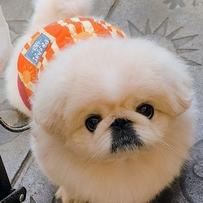willard0228's profile picture