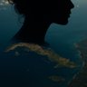 Profilbild von Cubana por la Libertad