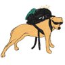 Comunista Elegante's profile picture