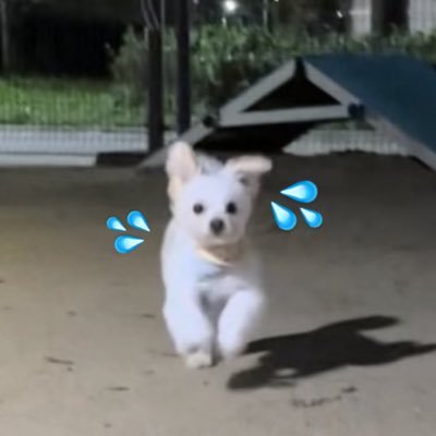 Noopppp_y's profile picture