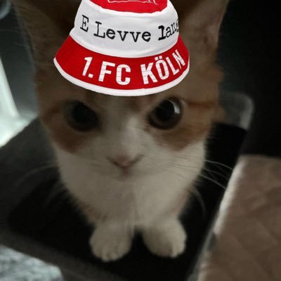 anner🐈‍⬛'s profile picture