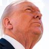 Kingdingaling's profile picture