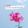 حسن الكعبي 🇮🇶 的头像