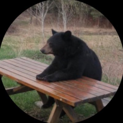 Sp1thfc's profile picture