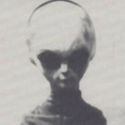 Singularity and 4738 others's profile picture