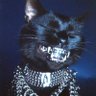 yami's profile picture