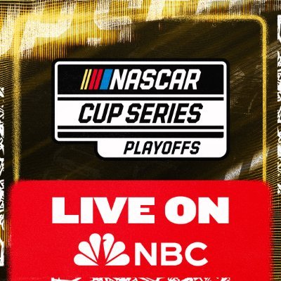 NASCAR's profile picture