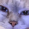 #fran profil fotoğrafı
