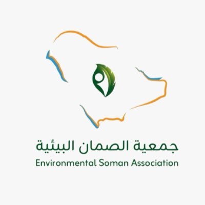 r_alsomman's profile picture