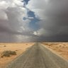 عمر البرزنجي 的头像