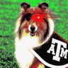 Profilbild von Pirate Reveille