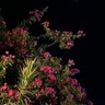 أشواق🥀's profile picture