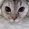 catmoney1 profil fotoğrafı