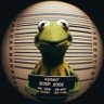 BOBPOP's profile picture