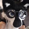 Mark_Wusky 的头像