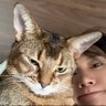 Profilbild von 1001⋆🐈‍⬛