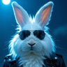 Rabbitonator 的头像