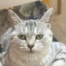 Profilbild von ,