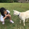 ヤギのメー profil fotoğrafı