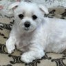 ☆のん吉☆ profil fotoğrafı