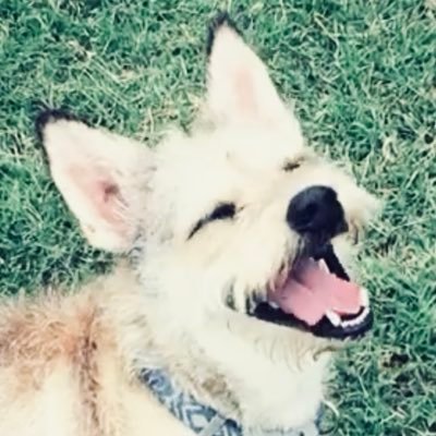 Larry Williams's profile picture