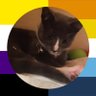 🇵🇸 لينا (they/them) | CEO OF ENVUZI 💛💜💛 profil fotoğrafı