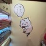 レイチェル profil fotoğrafı