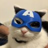 Steve Rogers ADL (Polymarket Arc) 的头像