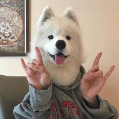 ɴᴋ 🐈⬛🌱's profile picture