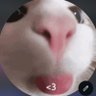 Profilbild von ihat333uuu