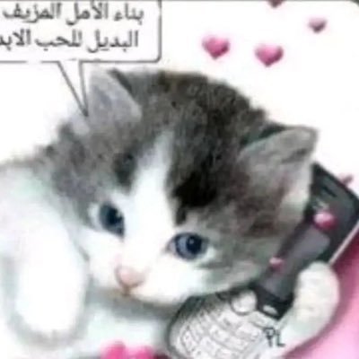 fefalida's profile picture