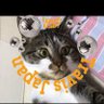 Profilbild von どんこまる