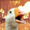fk_duck's profile picture