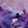 user5555's profile picture