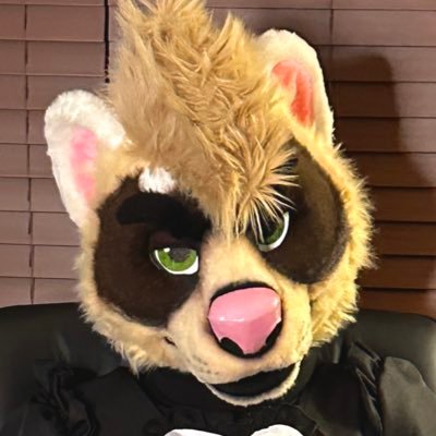 snugtones's profile picture
