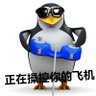 派大星星 的头像