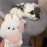 kumimi_05's profile picture