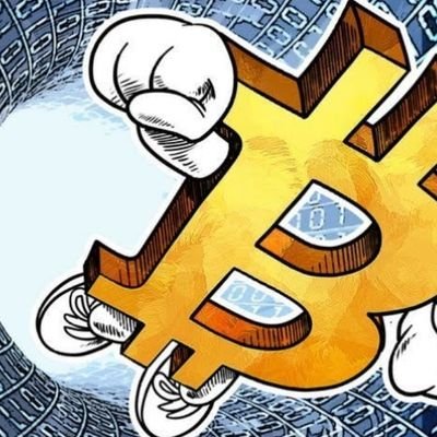 btc_torque's profile picture