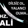 Şerr-i X's profile picture