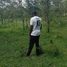 Tellah Moses's profile picture
