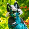 Dargo the Dragon profil fotoğrafı